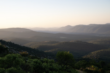Riboux Sainte-Baume