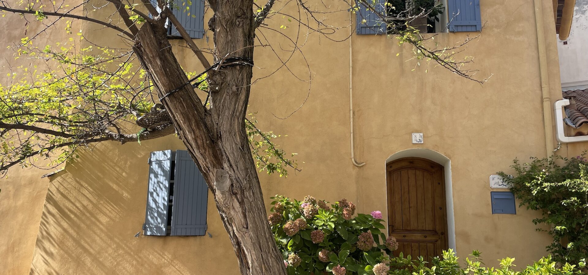 Les locations de vacances au Castellet