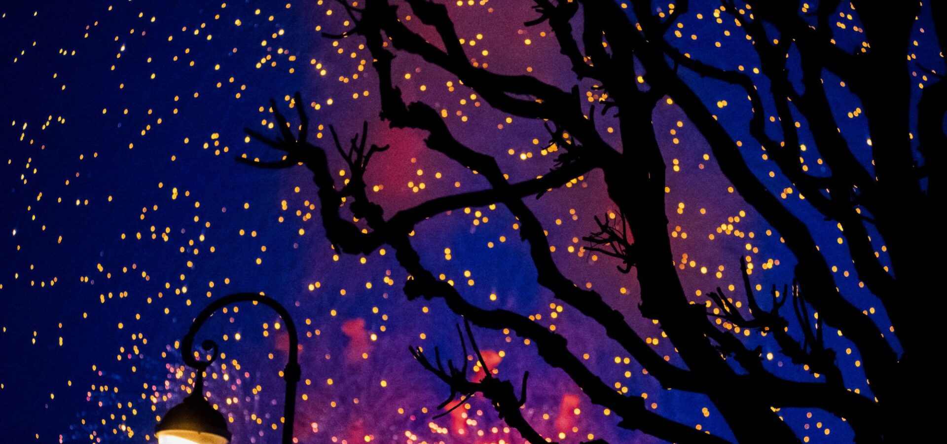 Les Nuits du Conte - Le Castellet (Var)