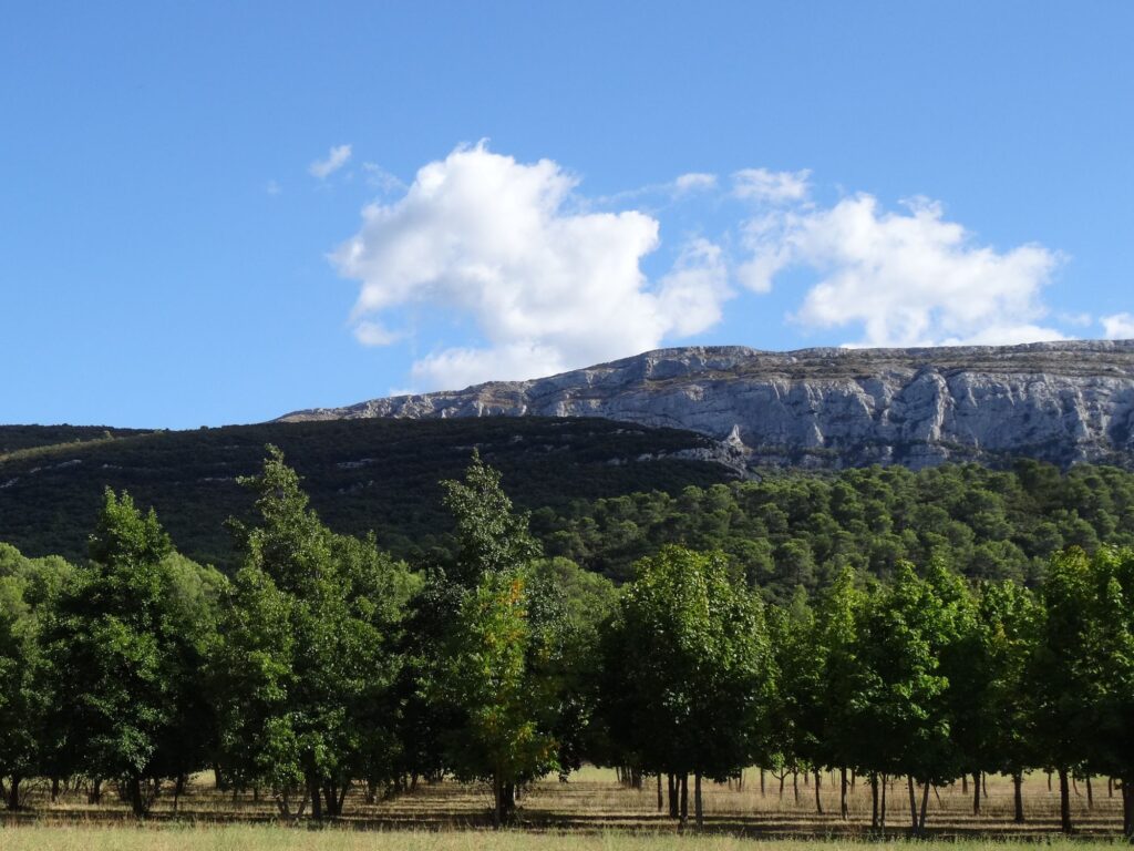 Provence Sud Sainte Baume