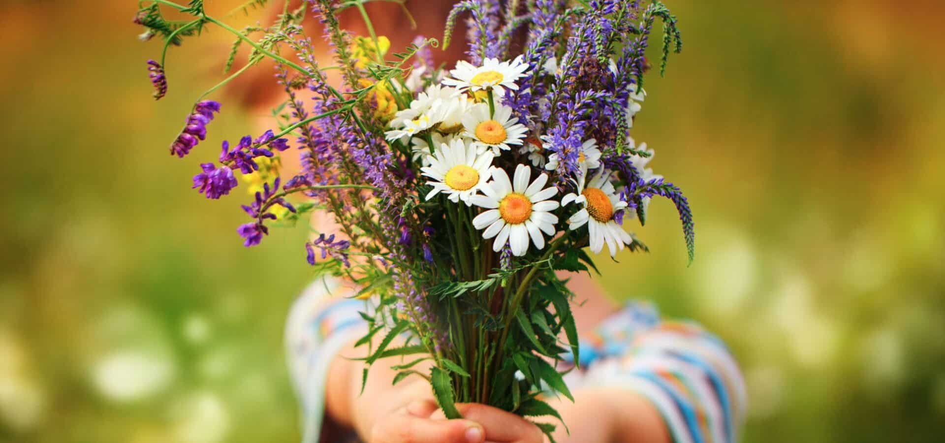 Activités enfants printemps Var