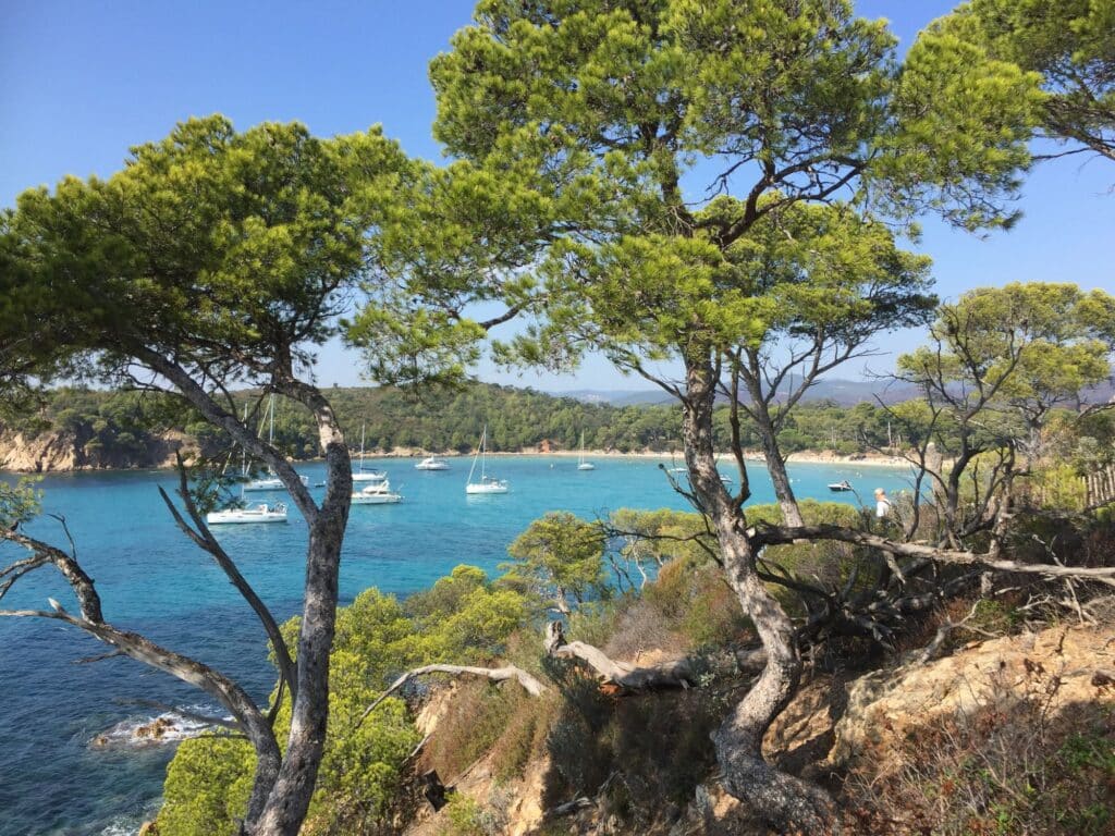 Île de Port-Cros Hyères - Var