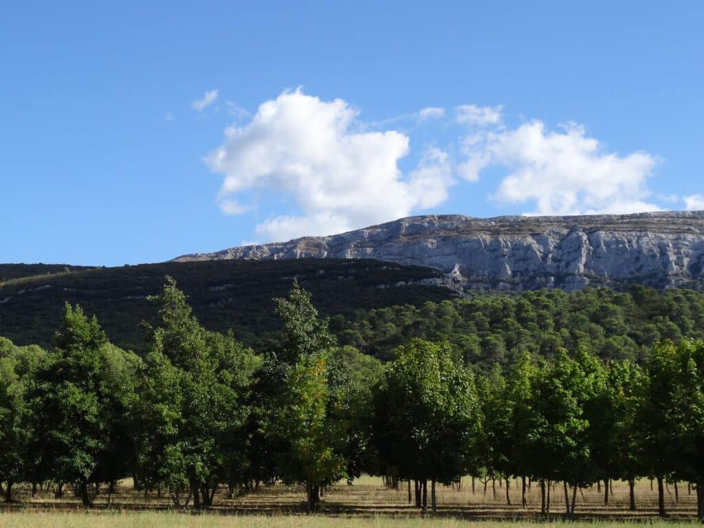 Massif de la Sainte-Baume - Provence