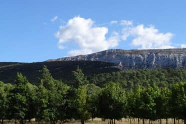 Massif de la Sainte-Baume - Provence