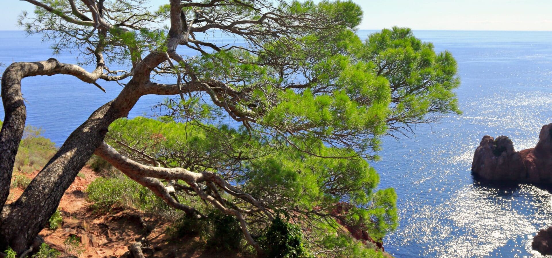 Semaine de la Nature Var 2025 - le programme