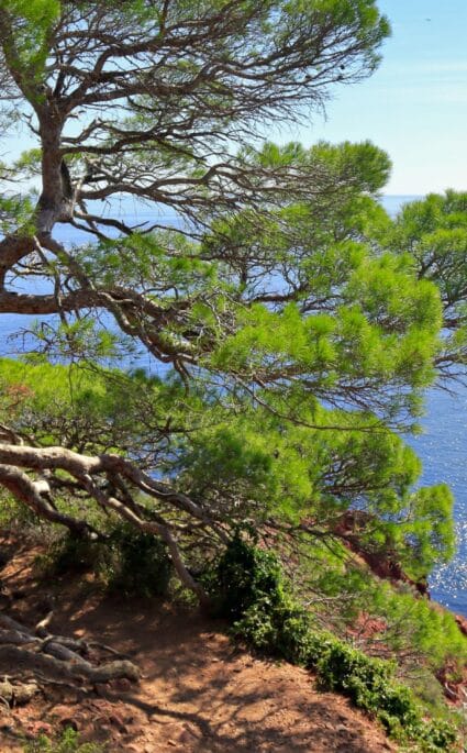 Semaine de la Nature Var 2025 - le programme