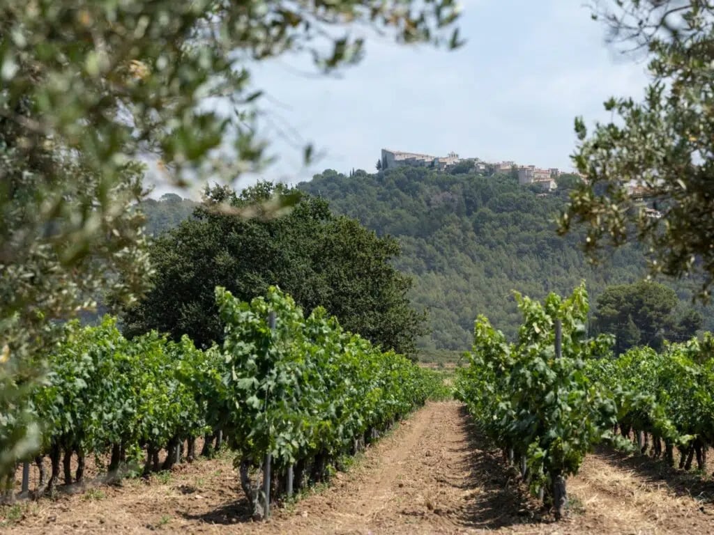 l'été dans le Var