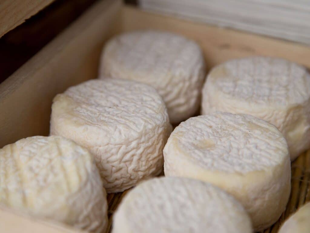Fromages de chèvre Sainte-Baume