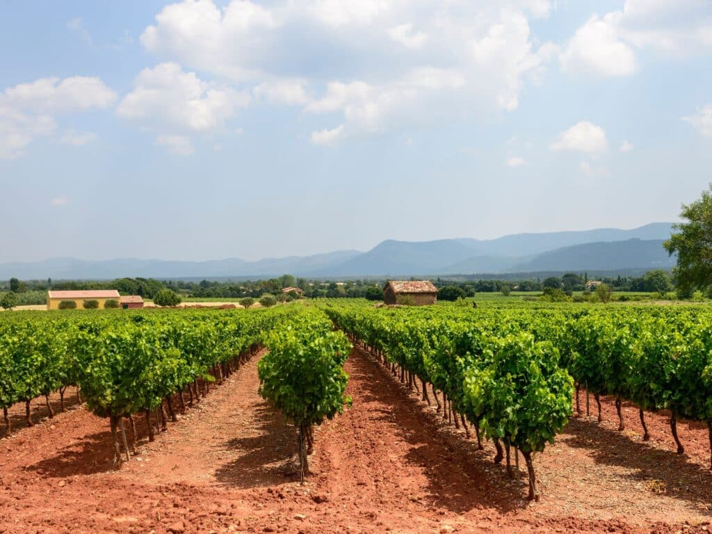 Label Vignobles & Découvertes - Provence Sud Sainte Baume