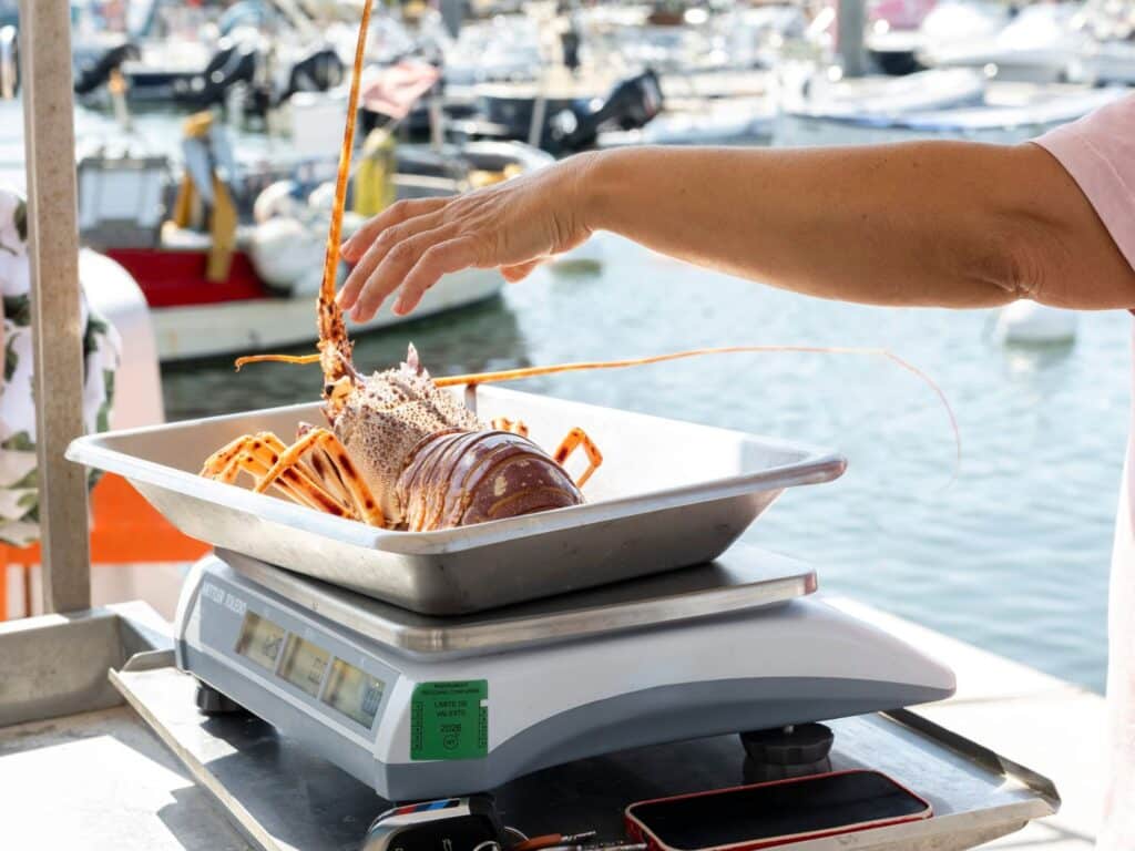 Marché aux poissons Sanary-sur-mer