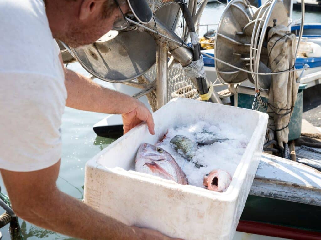 Marché aux poissons Sanary-sur-mer