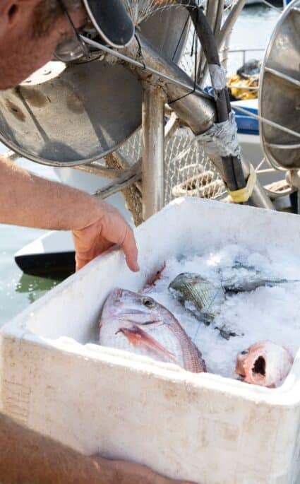 Marché aux poissons Sanary-sur-mer