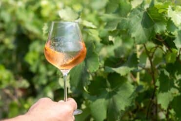 parcours-vins-de-bandol-sud-sainte-baume