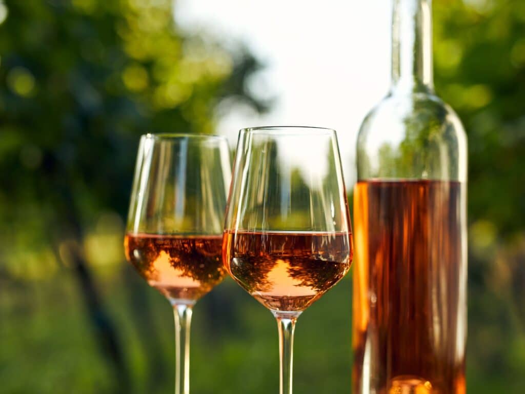 Vins AOC Bandol pour découvrir Sainte-Baume