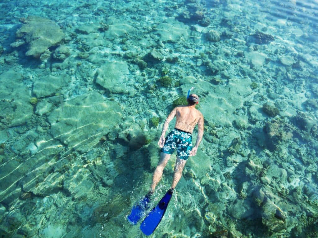 Activités canicule Var - snorkeling Sanary-sur-mer