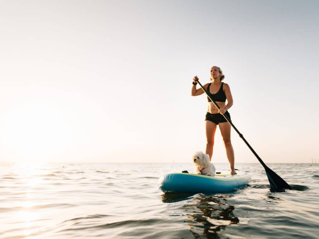 Vacances chien - Paddle Var Provence Sud Sainte Baume