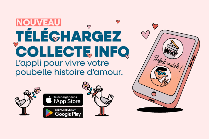 Application Collecte Info