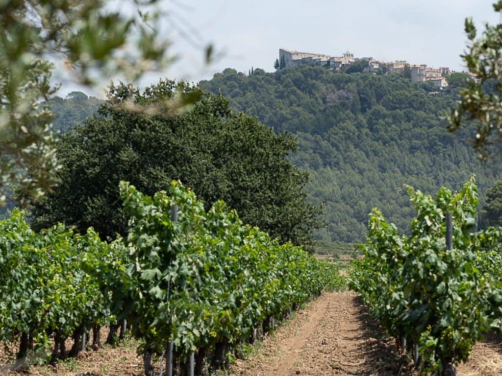 Quand venir en Provence ?