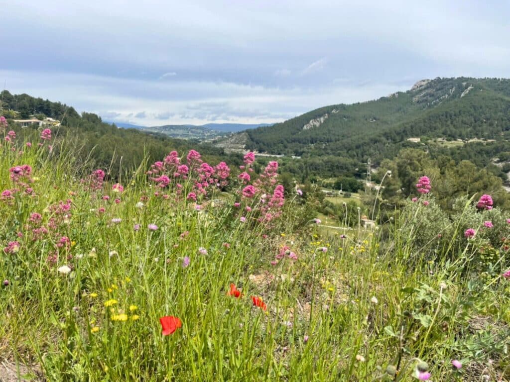 Nature Provence Sud Sainte Baume