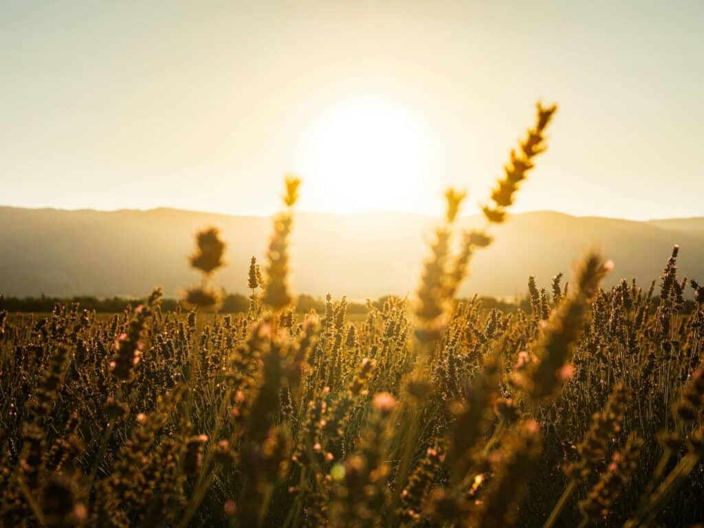 Lexique Provence vacances Var