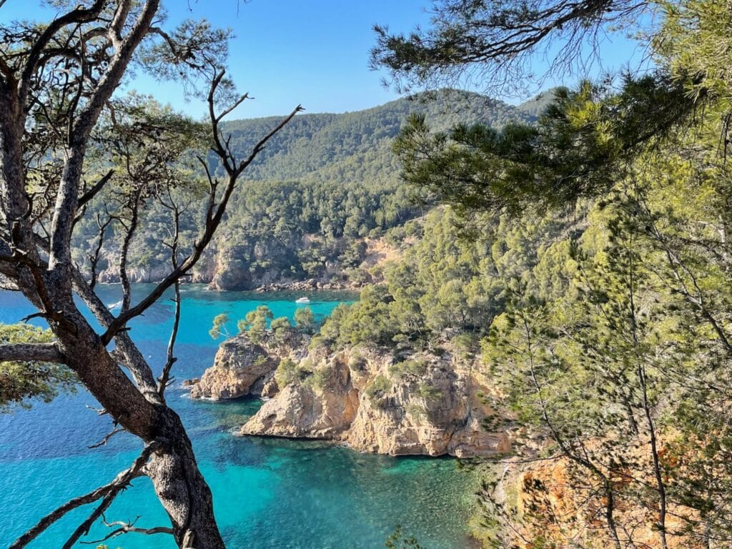 Sentier littoral Bandol Saint-Cyr-sur-mer