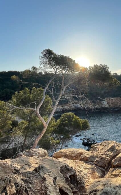 5 most beautiful coastal hikes in western Var
