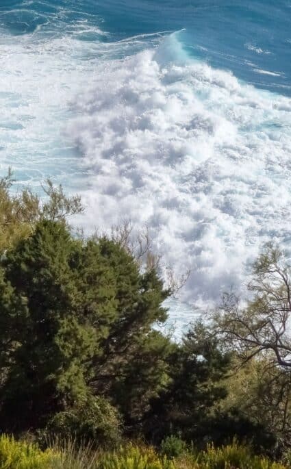 Winter leisure activities in Provence South Sainte Baume