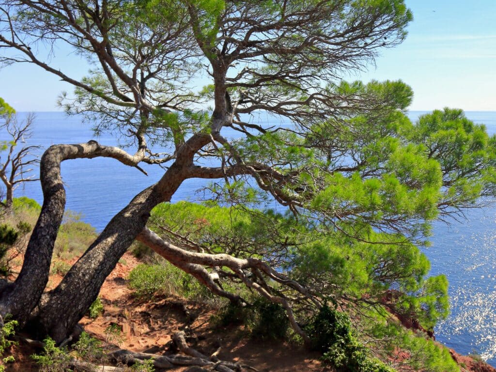 Loisirs mistral hiver Provence Sud Sainte Baume