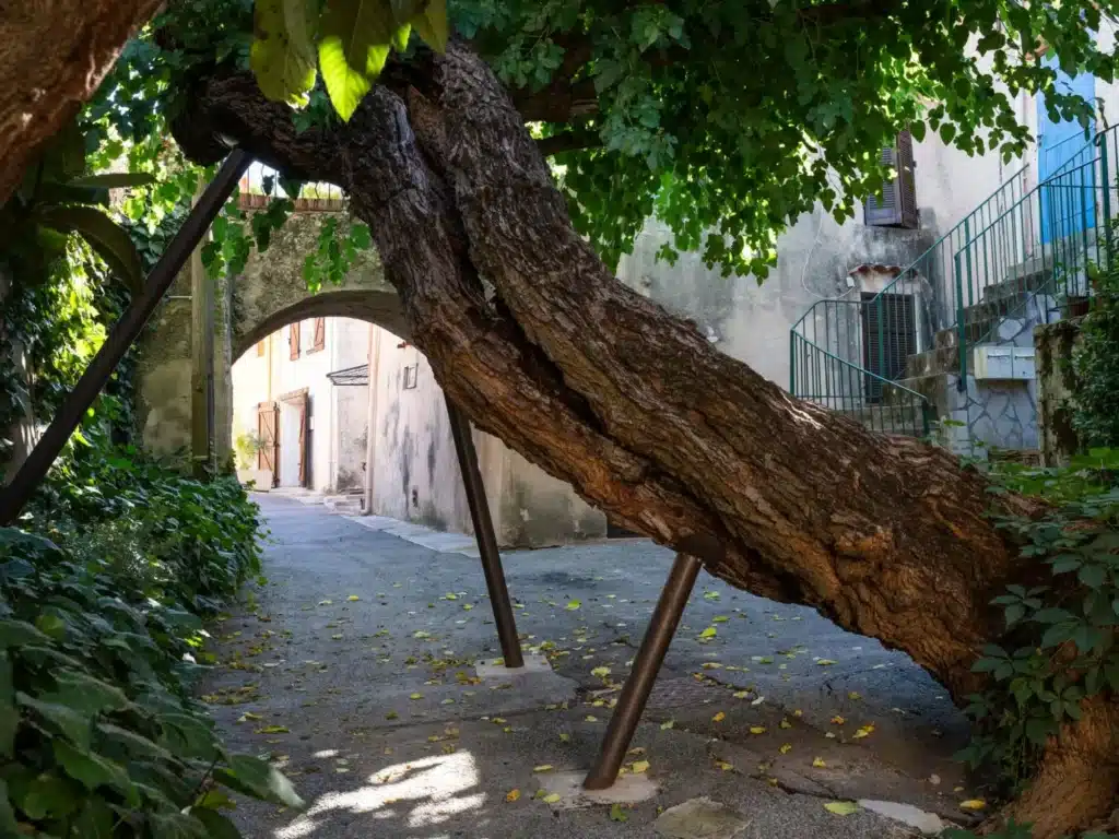 Que faire à Signes ?