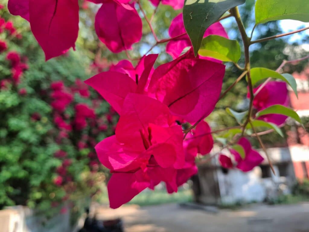 Week-end mai Var - Villages et domaines