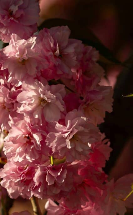 Week-end de mai dans le Var