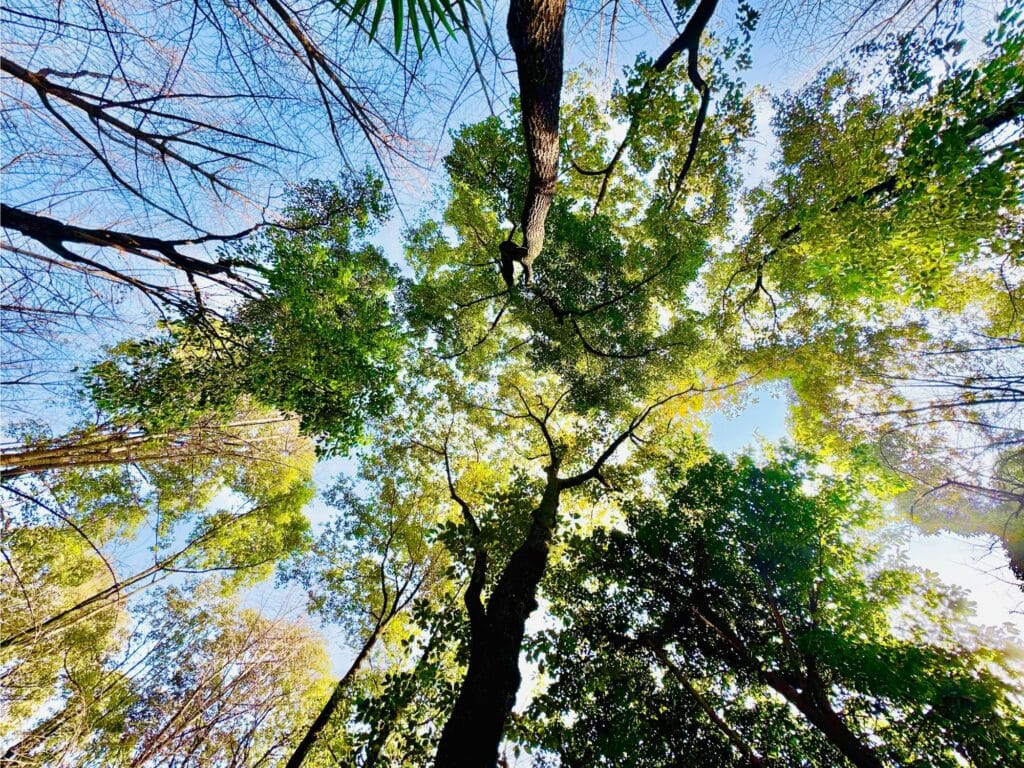 Week-end mai Var - En pleine nature