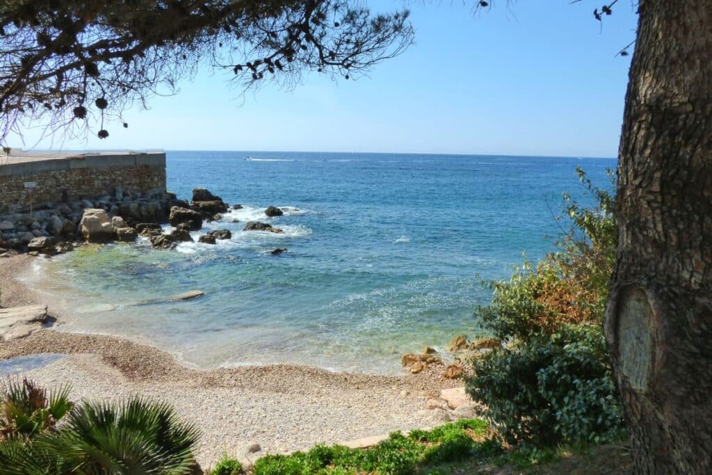 Plage Crique Eden Roc Bandol