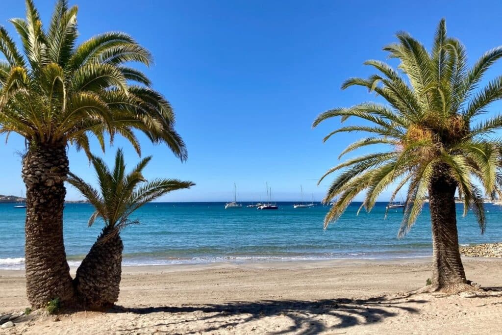 Plage du Grand Vallat Bandol