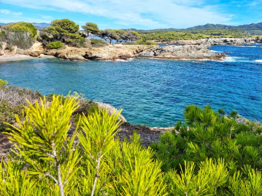Sortie navette les Embiez Sanary-sur-mer