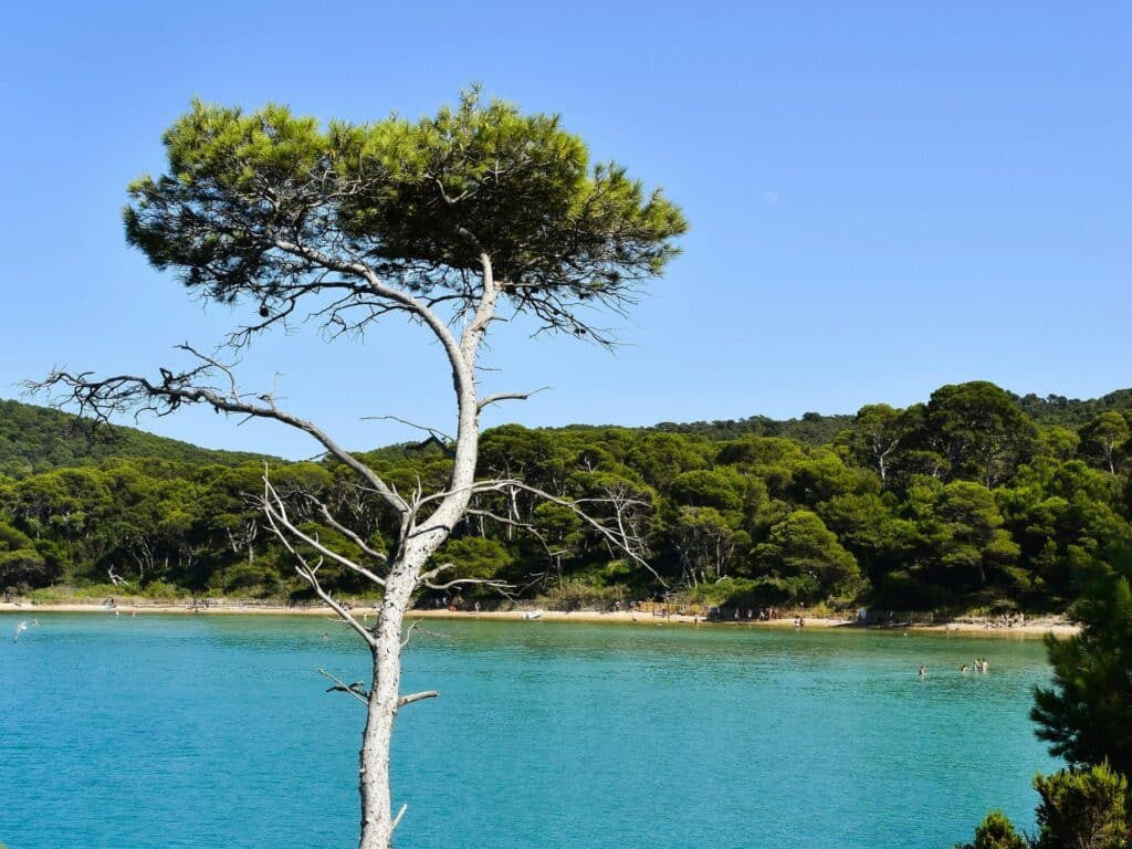 Sortie navette île de Porquerolles Bandol