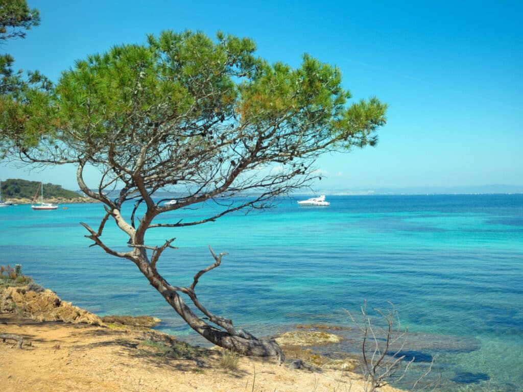 Les îles du Var - Porquerolles à Hyères